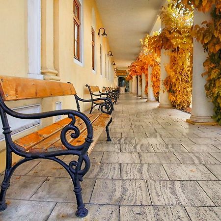 Hotel Ensana Pro Patria Pieszczany Zewnętrze zdjęcie