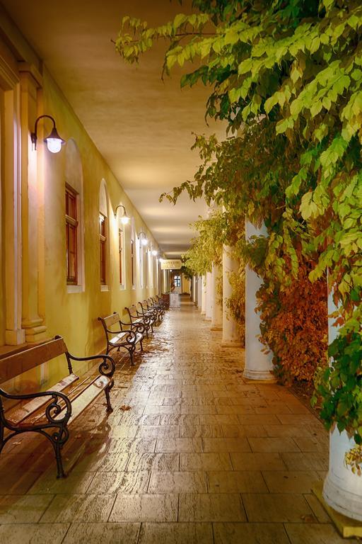 Hotel Ensana Pro Patria Pieszczany Zewnętrze zdjęcie