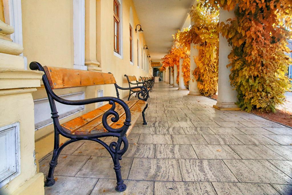 Hotel Ensana Pro Patria Pieszczany Zewnętrze zdjęcie